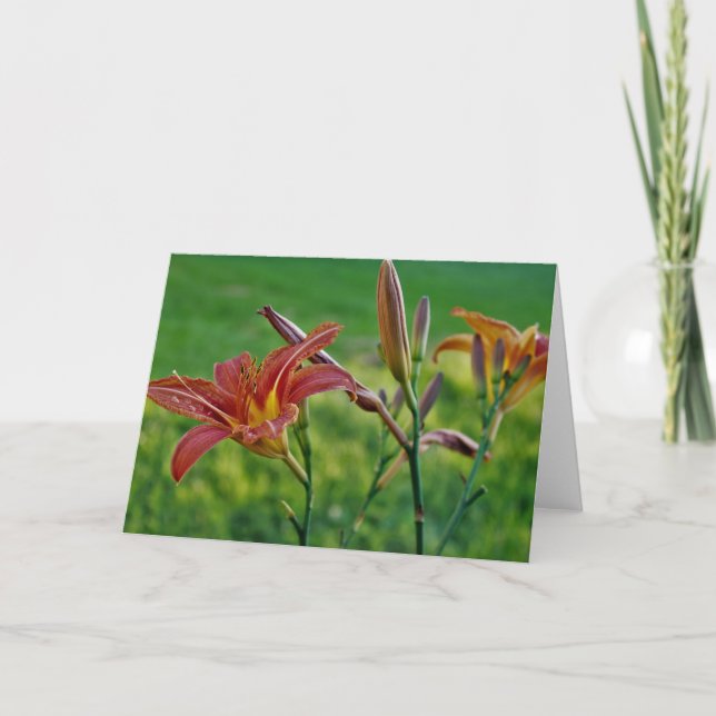 Tarjeta Tiger Lilies (Anverso)