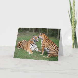 Tarjeta TigerFriends 007