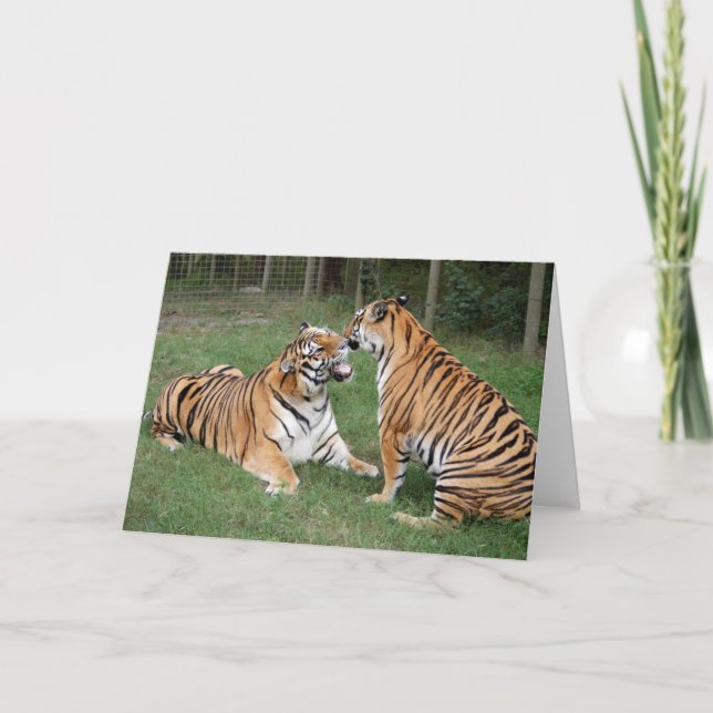 Tarjeta TigerFriends 007 (Anverso)