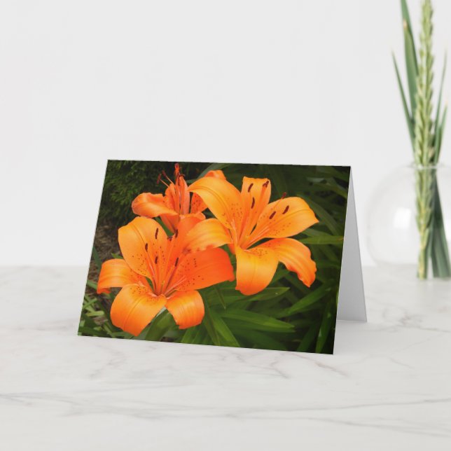 Tarjeta Tigerlily 2 (Anverso)