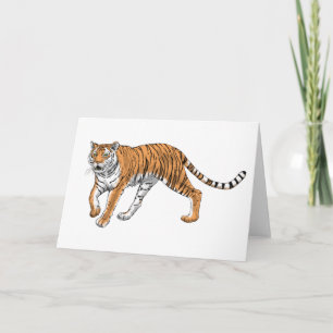 Tarjeta Tigre 2