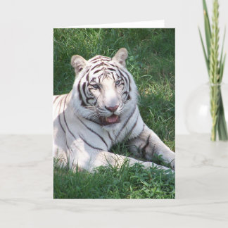 Tarjeta Tigre blanco sobre la imagen vertical del marco de