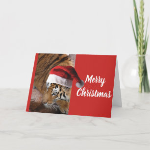 Tarjeta Tigre de Bengala de Navidad