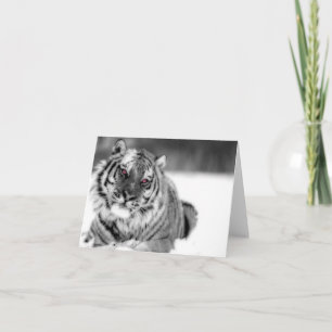 Tarjeta Tigre Ojo Rosa