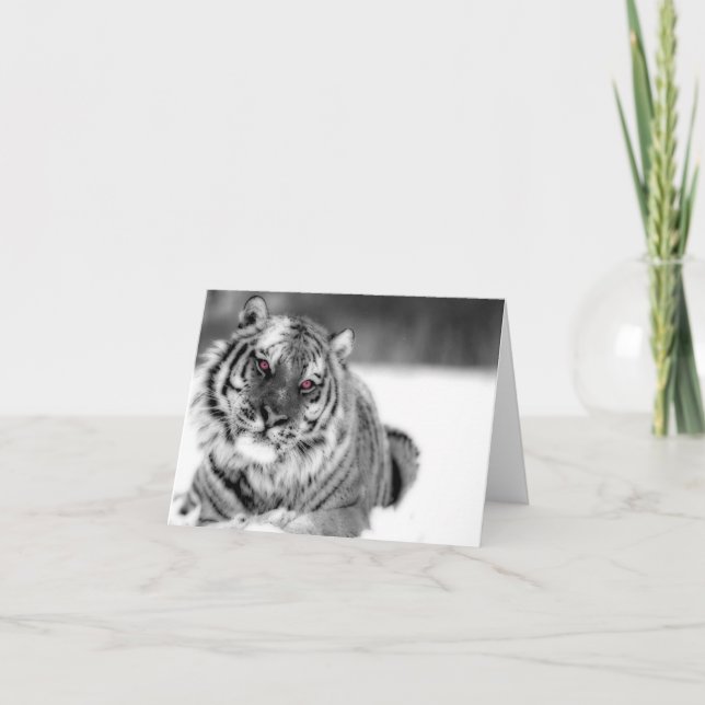 Tarjeta Tigre Ojo Rosa (Anverso)