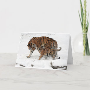 Tarjeta Tigre y Cub hermosos del papá del padre del feliz