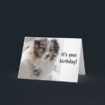 TARJETA TIME TO CELEBRATE  ***16*** SAYS SNOWBOUND PUP<br><div class="desc">WHAT A "SPECIAL BIRTHDAY AND AS OLD AS I AM I REMEMBER THAT!!! (lol)  ***16*** WHAT A GREAT BIRTHDAY FOR SURE..AND WHY NOT LET HIM OR HER KNOW WITH HUMOR THAT YOU WISH HIM A OR HER A GREAT BIRTHDAY!!!
THANK YOU FOR STOPPING AT ONE OF MY EIGHT STORES!!!!!</div>