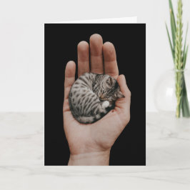 Tarjeta Tiny Tabby