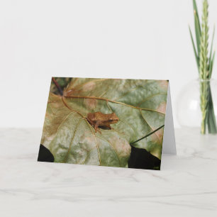 Tarjeta Tiny Toad