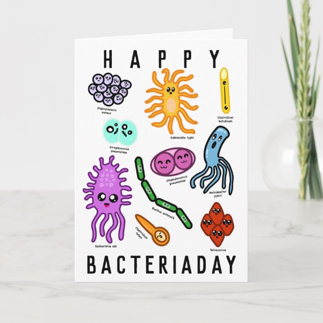 Tarjeta Tipos De Bacterias (Anverso)