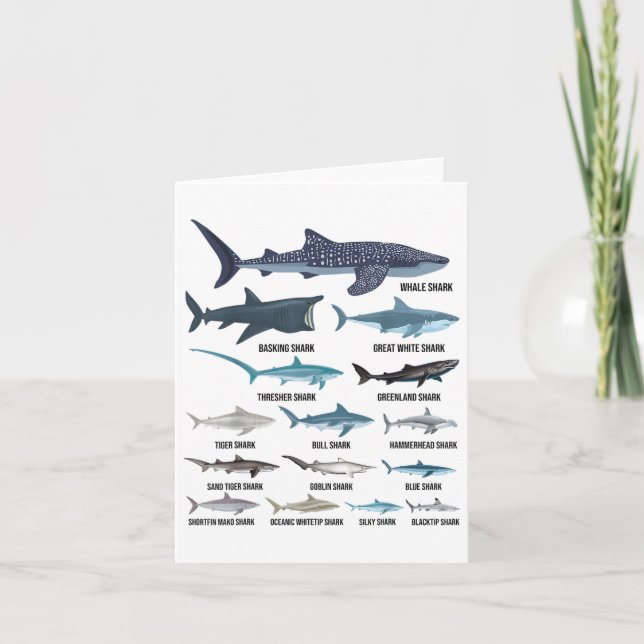 Tarjeta Tipos De Tiburones Tiburones Océano De Identificac (Anverso)