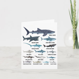 Tarjeta Tipos De Tiburones Tiburones Océano De Identificac