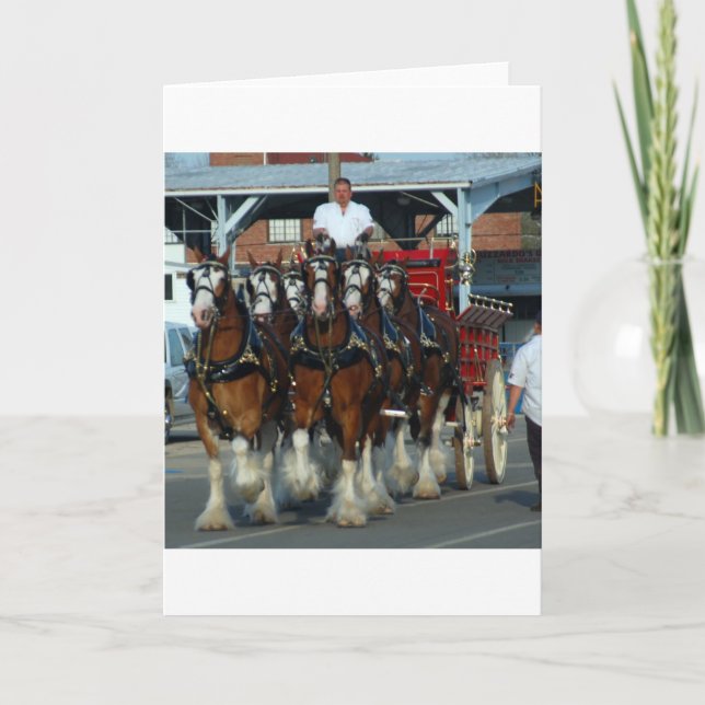 Tarjeta Tirón de caballo de Clydesdale 6 (Anverso)