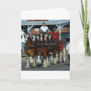 Tarjeta Tirón de caballo de Clydesdale 6