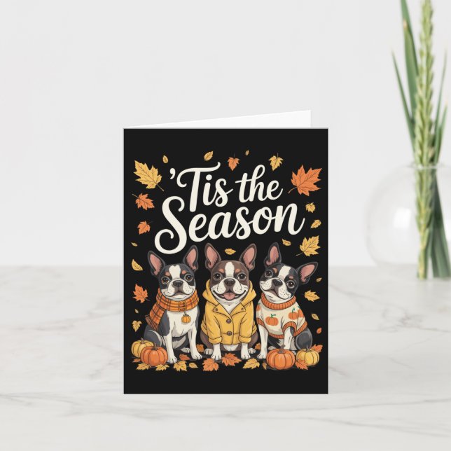 Tarjeta Tis The Season Boston Terrier Fall Autumn Pumpkin  (Anverso)