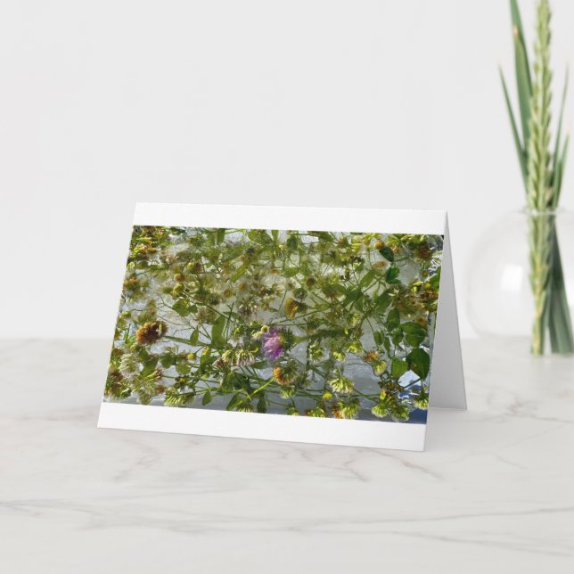 Tarjeta Tístago y trébol picado, (Anverso)