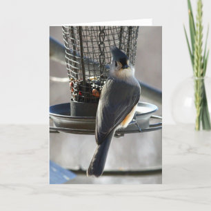Tarjeta Titmouse