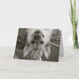 Tarjeta Toda la ocasión