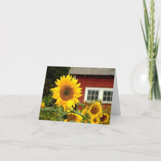 Tarjeta toda la ocasión/girasol