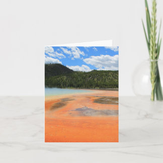 Tarjeta Toda la revista de ocasión