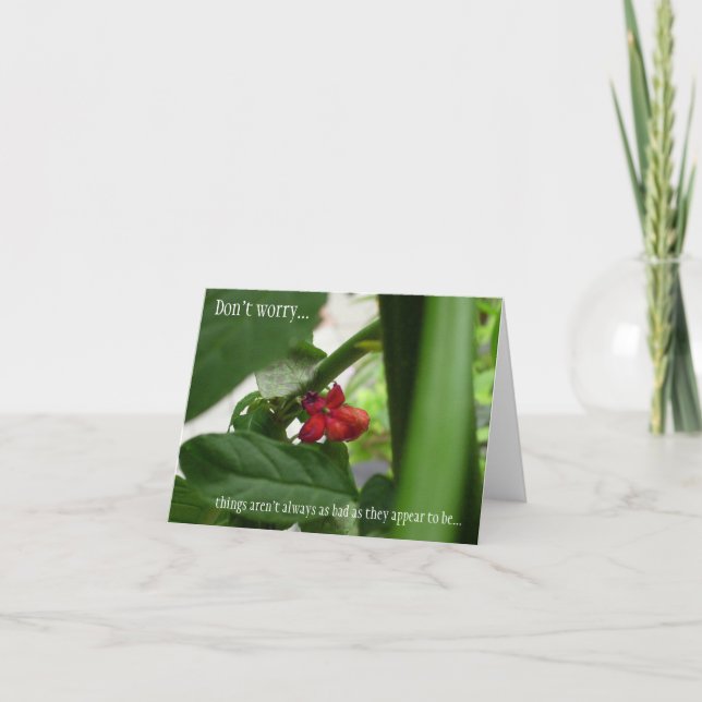 Tarjeta Toda la simpatía de la ocasión (Anverso)