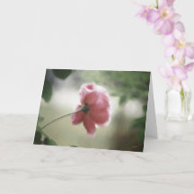 Toda ocasión Notecard o Saludo