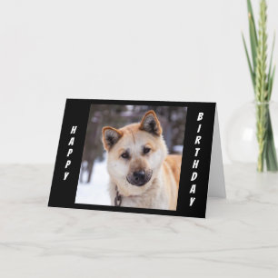 TARJETA "TODAS LAS OREJAS" PARA ESCUCHAR CÓMO CELEBRAS TU 