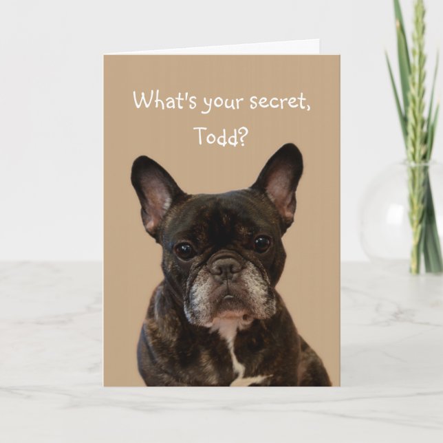 Tarjeta Todd Bulldog francés Shakespeare Feliz cumpleaños (Anverso)