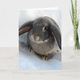 Tarjeta Todos soy oidos por ti