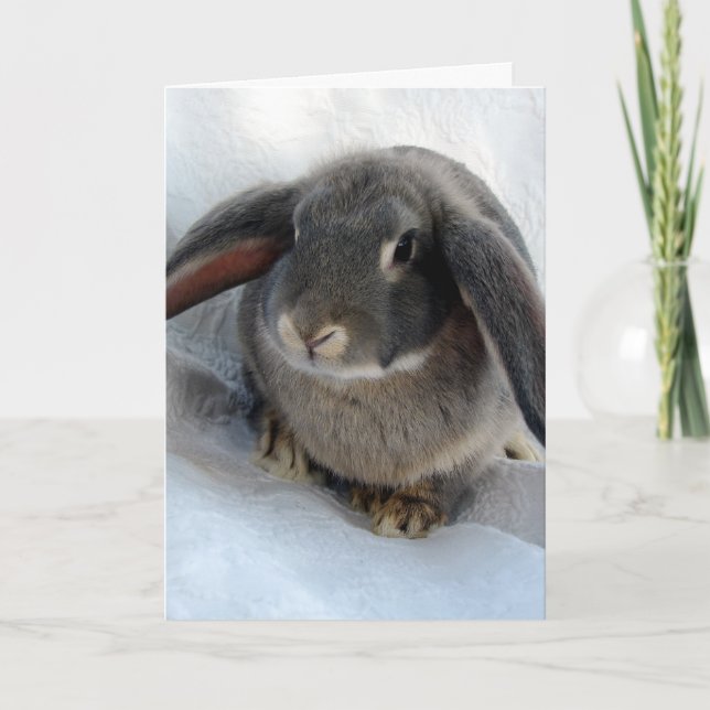 Tarjeta Todos soy oidos por ti (Anverso)