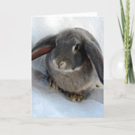 Tarjeta Todos soy oidos por ti