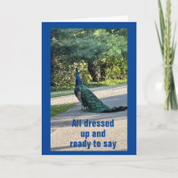 TODOS VESTIDOS/LISTOS PARA DECIR EL MÁS FELIZ DESE