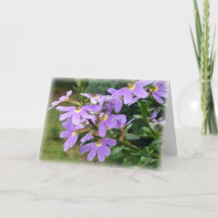 Tarjeta Tolerancia púrpura