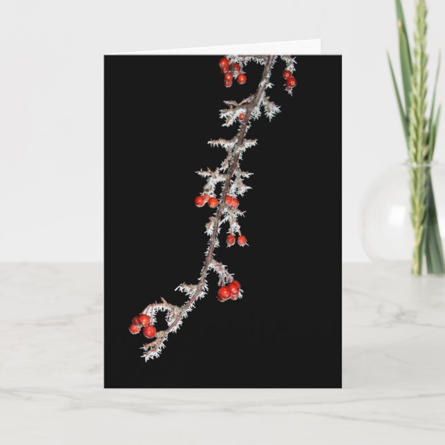 Tarjeta Tómate Navidades De Berry (Anverso)