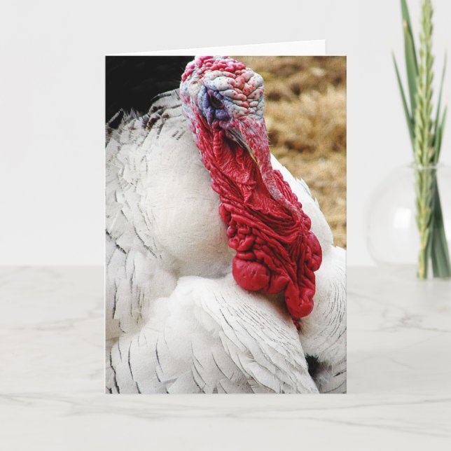 Tarjeta Tommy (Anverso)