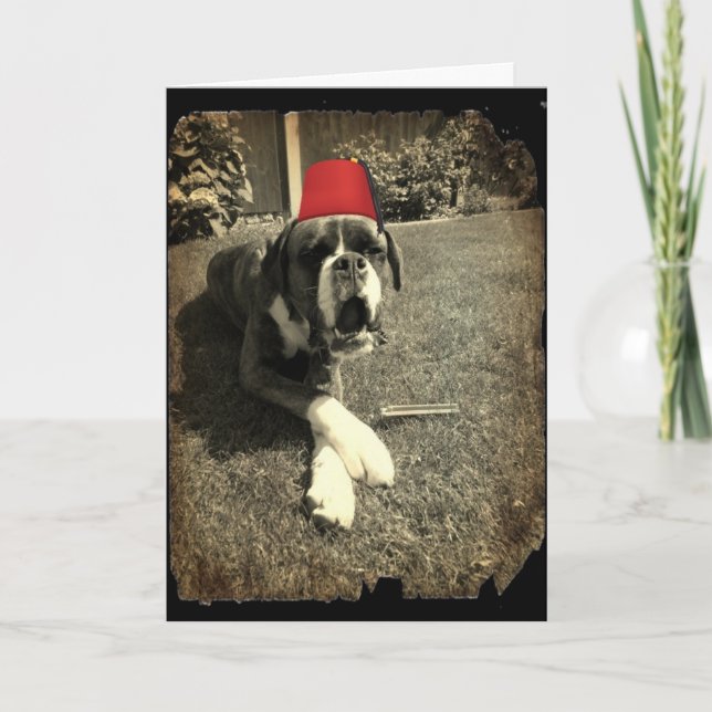 Tarjeta Tommy Cooper Boxer Dog (Anverso)