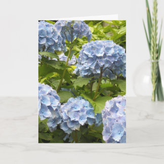 Tarjeta Tonos de Hortensias Azules