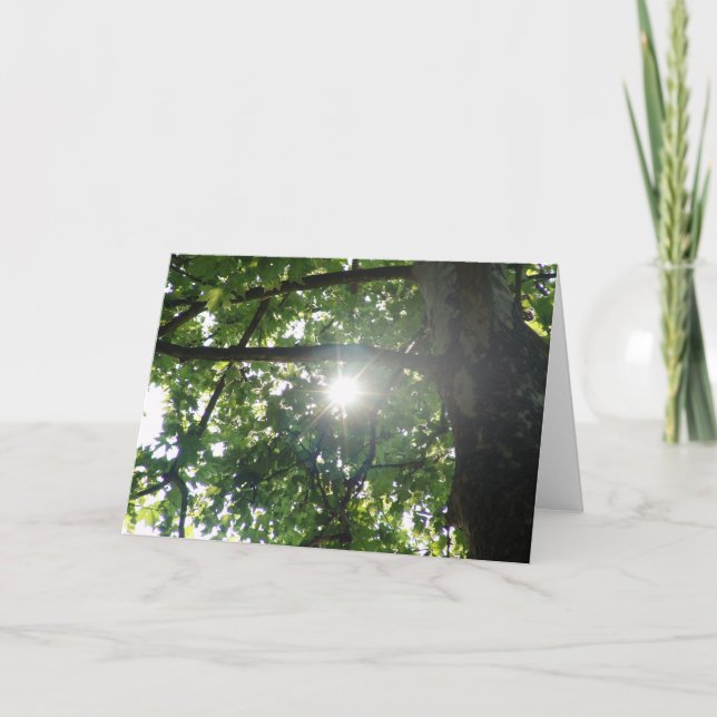 Tarjeta Top del árbol (Anverso)