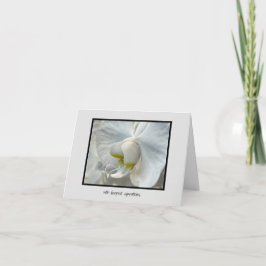 Tarjeta Toque de orquídea blanca de las simpatías más prof