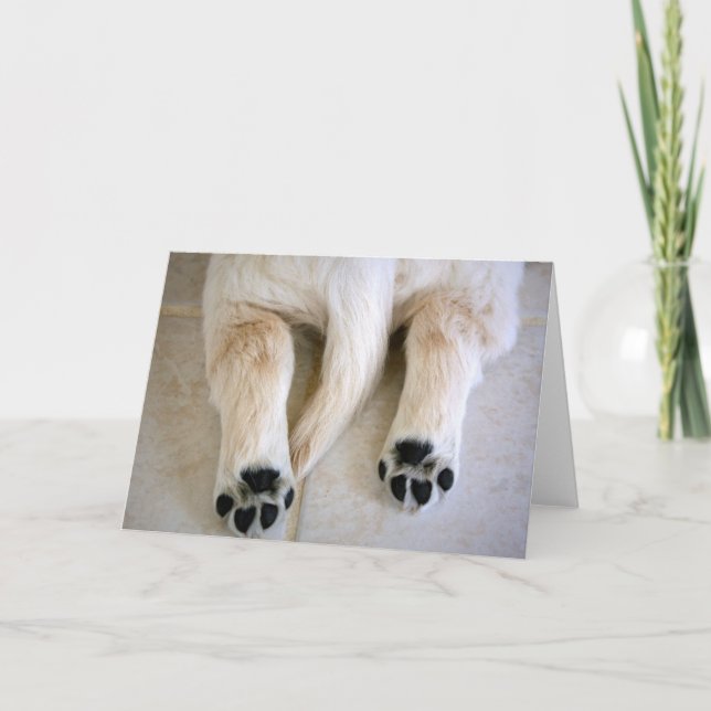 Tarjeta Toques de Cachorro de Golden Retriever (Anverso)