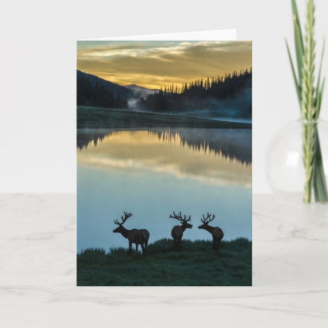 Tarjeta Toro Elks Silhouetted Poudre Lake Sunrise (Anverso)