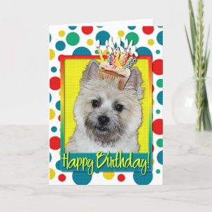 Tarjeta Torta de cumpleaños - Cairn Terrier - Oso de Teddy