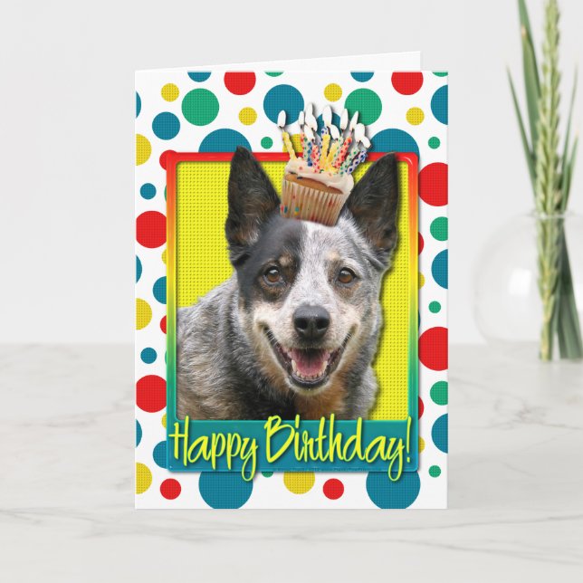 Tarjeta Torta de cumpleaños - Perro de ganado australiano (Anverso)