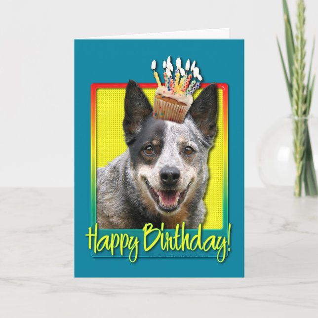 Tarjeta Torta de cumpleaños - Perro de ganado australiano (Anverso)