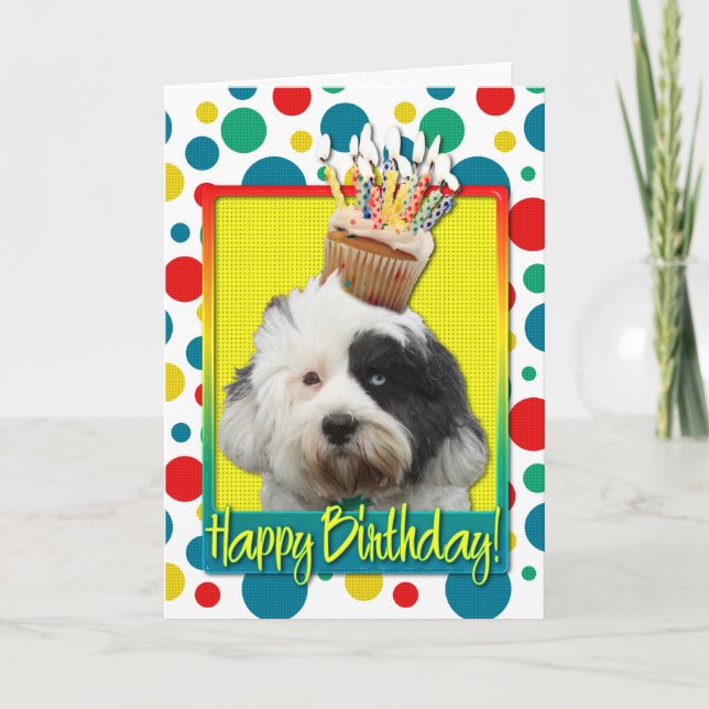 Tarjeta Torta de cumpleaños - Terrier tibetano (Anverso)