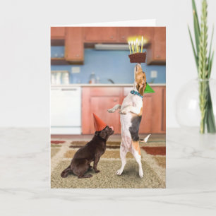 Tarjeta Torta de equilibrio