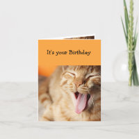 Torta divertida Frosta lamiendo lengua Gato Humor 