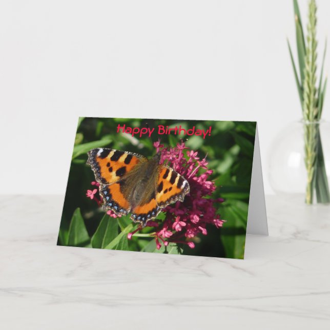 Tarjeta Tortoiseshell Butfly (Anverso)