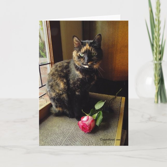 Tarjeta Tortoiseshell Cat and Rose Greeting Card (Anverso)