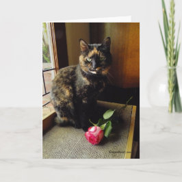 Tarjeta Tortoiseshell Cat and Rose Greeting Card